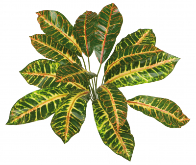 Croton, künstliche Zimmerpflanze ca. 40 cm